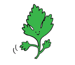 Spices & Herbs sticker #6602430