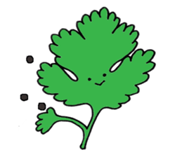 Spices & Herbs sticker #6602435