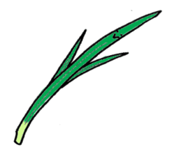 Spices & Herbs sticker #6602444