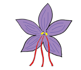 Spices & Herbs sticker #6602453