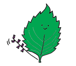 Spices & Herbs sticker #6602456