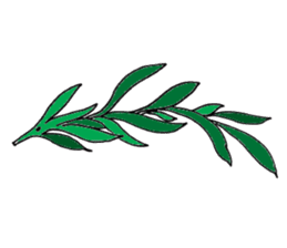 Spices & Herbs sticker #6602459