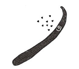 Spices & Herbs sticker #6602462