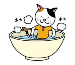 The calico cat sticker #6602875