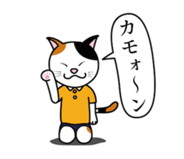 The calico cat sticker #6602899