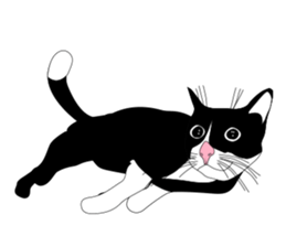 Meaw-Hoy sticker #6602911