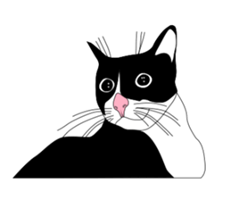 Meaw-Hoy sticker #6602913