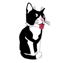 Meaw-Hoy sticker #6602923