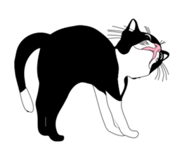 Meaw-Hoy sticker #6602929