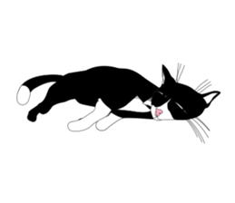 Meaw-Hoy sticker #6602938