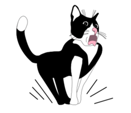 Meaw-Hoy sticker #6602939