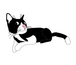 Meaw-Hoy sticker #6602943