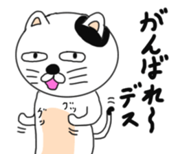 Various cat cat cats 2nd sticker #6602947