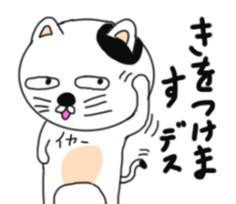 Various cat cat cats 2nd sticker #6602973