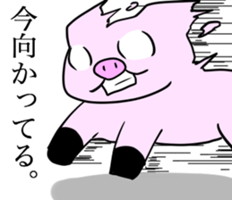 Wild red eye pig sticker #6603516