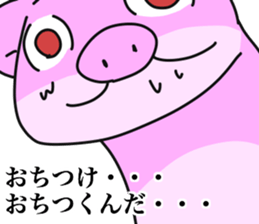 Wild red eye pig sticker #6603519