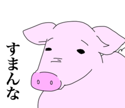 Wild red eye pig sticker #6603530