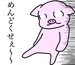 Wild red eye pig sticker #6603534