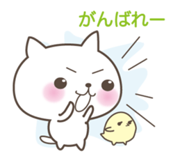 White cute cat and chick sticker #6603887