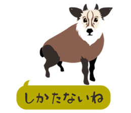 ANIMALS_STICKER2 sticker #6604849