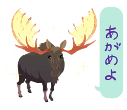 ANIMALS_STICKER2 sticker #6604856