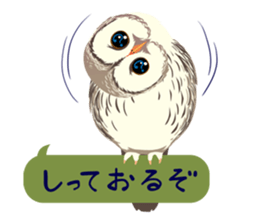 ANIMALS_STICKER2 sticker #6604860