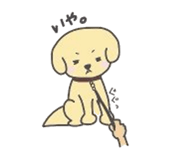 golden retriever, John sticker #6604947