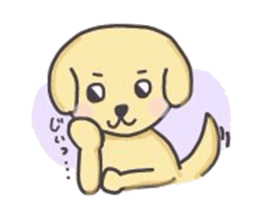 golden retriever, John sticker #6604952