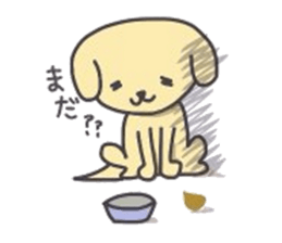 golden retriever, John sticker #6604961