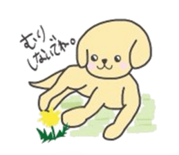 golden retriever, John sticker #6604968