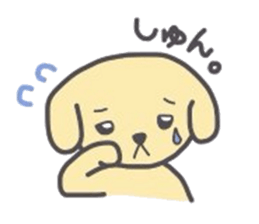 golden retriever, John sticker #6604973