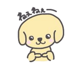 golden retriever, John sticker #6604974