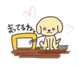 golden retriever, John sticker #6604975