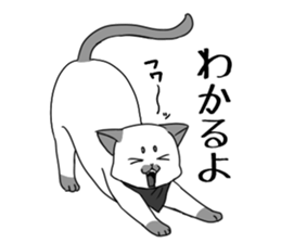 Affected kitty sticker #6606439