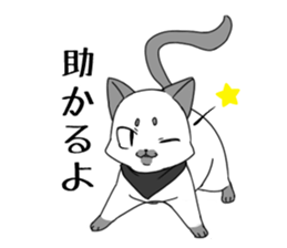 Affected kitty sticker #6606448