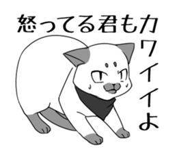 Affected kitty sticker #6606451