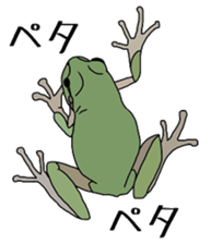 frog!frog!frog! sticker #6606945