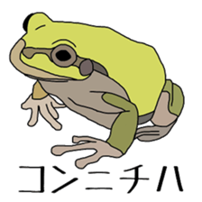 frog!frog!frog! sticker #6606946