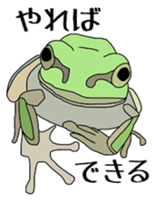 frog!frog!frog! sticker #6606947