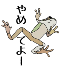frog!frog!frog! sticker #6606949