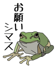 frog!frog!frog! sticker #6606950