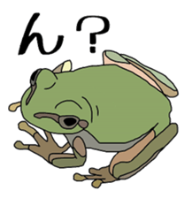 frog!frog!frog! sticker #6606951