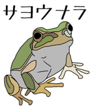 frog!frog!frog! sticker #6606957