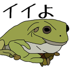 frog!frog!frog! sticker #6606965