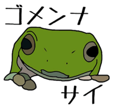 frog!frog!frog! sticker #6606969