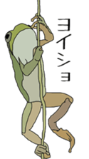 frog!frog!frog! sticker #6606983