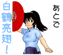 Kungfu Girl characters sticker #6607023