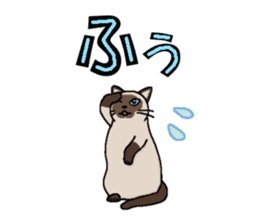 Summer, bear and cats sticker #6607346