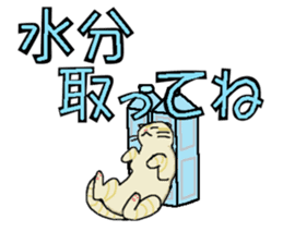 Summer, bear and cats sticker #6607348