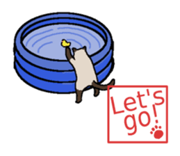 Summer, bear and cats sticker #6607351